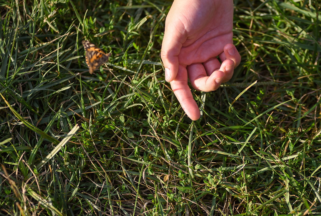 A butterfly is released in celebration of Margaret Romph